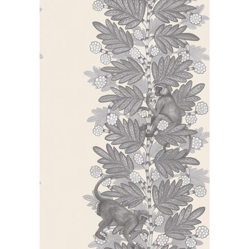 COLE & SON - ACACIA- GREY & WHITE - Wallcovering by the Roll GREY & WHITE