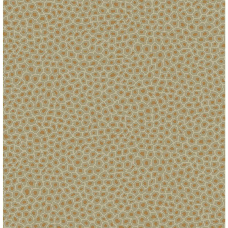COLE & SON - SENZO SPOT- OLIVE - Wallcovering by the Roll OLIVE