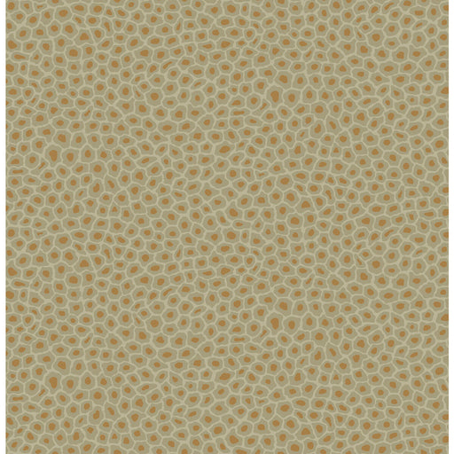COLE & SON - SENZO SPOT- OLIVE - Wallcovering by the Roll OLIVE