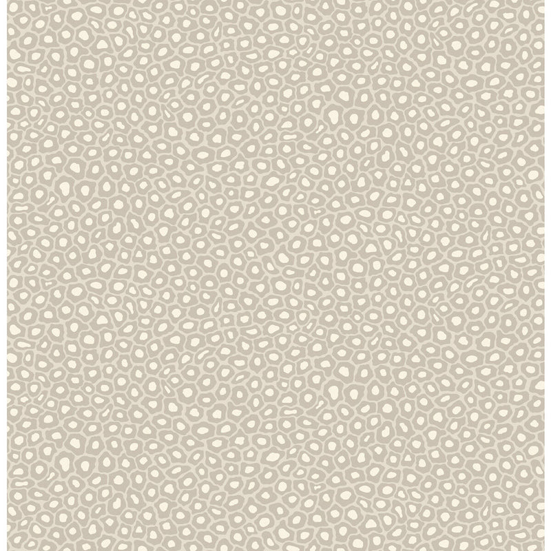 COLE & SON - SENZO SPOT- STONE & WHITE - Wallcovering by the Roll STONE & WHITE