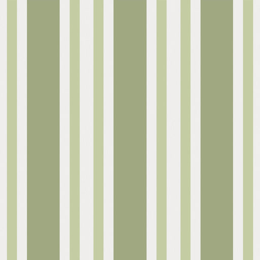 COLE & SON - POLO STRIPE- LEAF GREEN - Wallcovering by the Roll LEAF GREEN