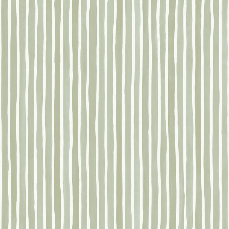 COLE & SON - CROQUET STRIPE- OLIVE - Wallcovering by the Roll OLIVE