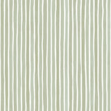 COLE & SON - CROQUET STRIPE- OLIVE - Wallcovering by the Roll