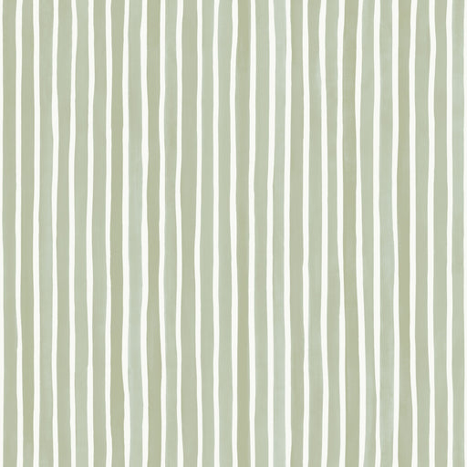 COLE & SON - CROQUET STRIPE- OLIVE - Wallcovering by the Roll OLIVE