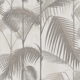 COLE & SON - PALM JUNGLE- STONE/TAUPE - Wallcovering by the Roll