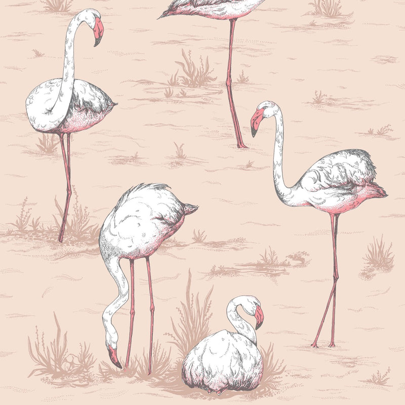 COLE & SON - FLAMINGOS- PLASTER PINK - Wallcovering by the Roll PLASTER PINK