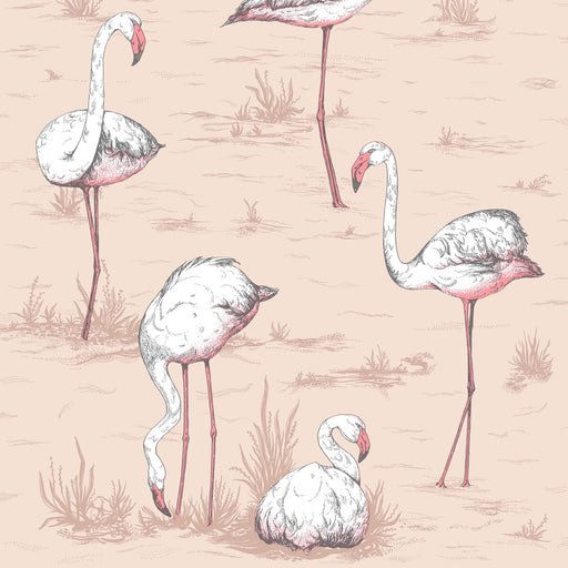 COLE & SON - FLAMINGOS- PLASTER PINK - Wallcovering by the Roll PLASTER PINK