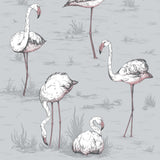 COLE & SON - FLAMINGOS- GREY - Wallcovering by the Roll
