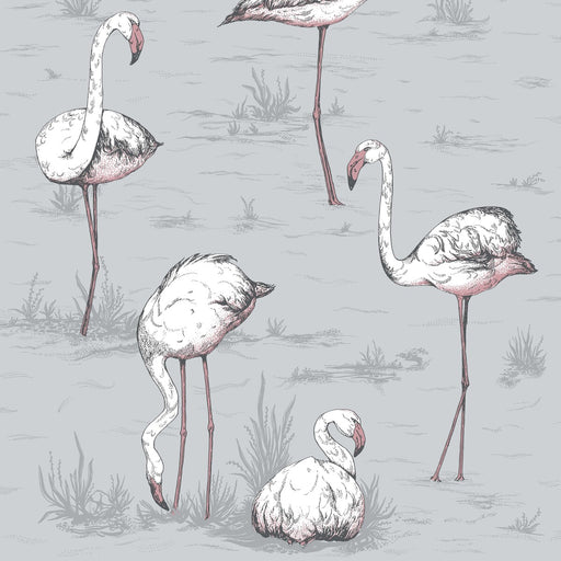 COLE & SON - FLAMINGOS- GREY - Wallcovering by the Roll GREY