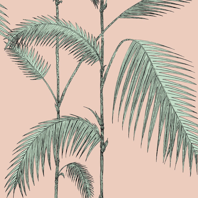 COLE & SON - PALM LEAVES- PLASTER PINK/MINT - Wallcovering by the Roll PLASTER PINK/MINT
