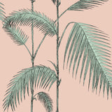 COLE & SON - PALM LEAVES- PLASTER PINK/MINT - Wallcovering by the Roll