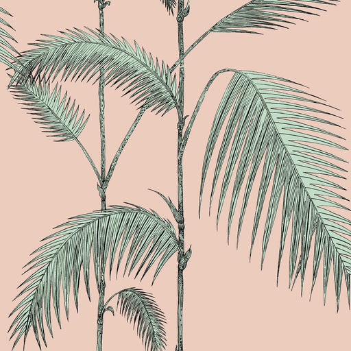 COLE & SON - PALM LEAVES- PLASTER PINK/MINT - Wallcovering by the Roll PLASTER PINK/MINT