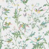 COLE & SON - HUMMINGBIRDS- GREEN/PINK - Wallcovering by the Roll