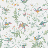 COLE & SON - HUMMINGBIRDS- PASTEL - Wallcovering by the Roll