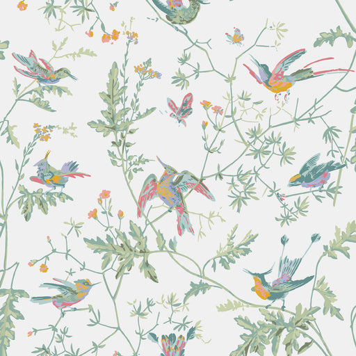 COLE & SON - HUMMINGBIRDS- PASTEL - Wallcovering by the Roll PASTEL