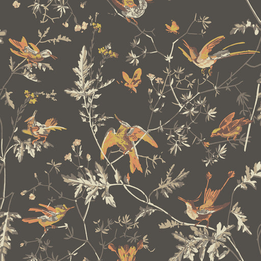 COLE & SON - HUMMINGBIRDS- CHARCOAL/GINGER - Wallcovering by the Roll CHARCOAL/GINGER