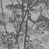 COLE & SON - COW PARSLEY- CHARCOAL - Wallcovering by the Roll