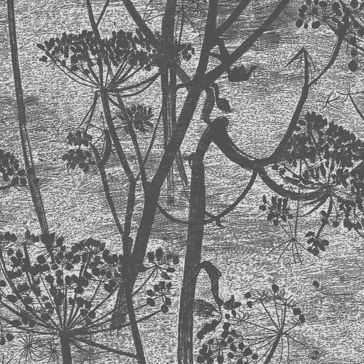 COLE & SON - COW PARSLEY- CHARCOAL - Wallcovering by the Roll CHARCOAL
