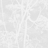 COLE & SON - COW PARSLEY- WHITE - Wallcovering by the Roll