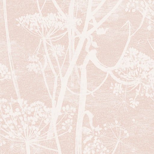 COLE & SON - COW PARSLEY- PLASTER PINK - Wallcovering by the Roll PLASTER PINK