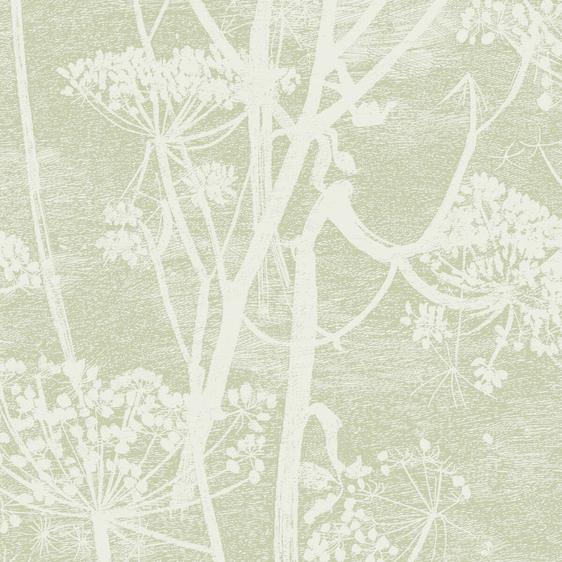 COLE & SON - COW PARSLEY- OLIVE - Wallcovering by the Roll OLIVE