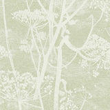 COLE & SON - COW PARSLEY- OLIVE - Wallcovering by the Roll