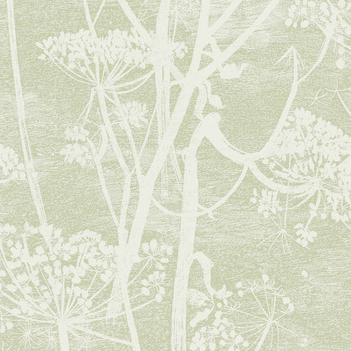 COLE & SON - COW PARSLEY- OLIVE - Wallcovering by the Roll OLIVE