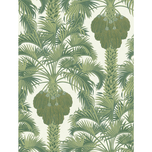 COLE & SON - HOLLYWOOD PALM- LEAF GREEN - Wallcovering by the Roll LEAF GREEN