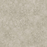 COLE & SON - PATINA HAZE- WARM GILVER - Wallcovering by the Roll