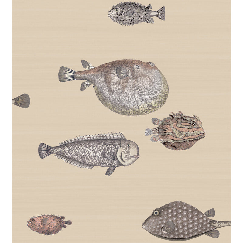 COLE & SON - ACQUARIO- TAUPE - Wallcovering by the Roll TAUPE