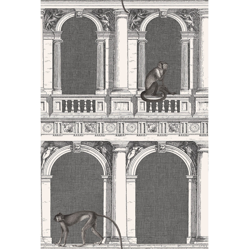 COLE & SON - PROCURATIE E SCIMMIE- B/W - Wallcovering by the Roll B/W