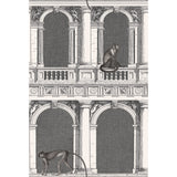 COLE & SON - PROCURATIE E SCIMMIE- B/W - Wallcovering by the Roll