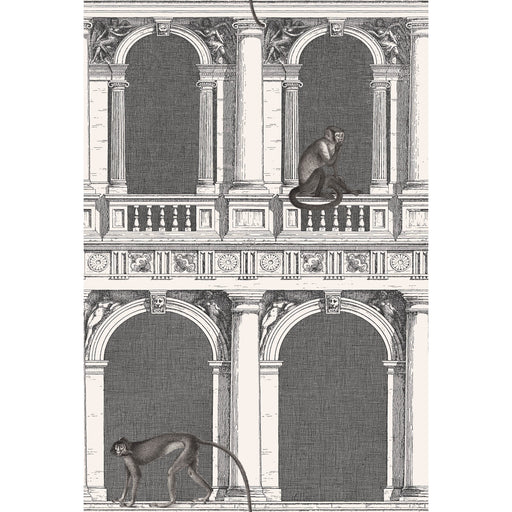 COLE & SON - PROCURATIE E SCIMMIE- B/W - Wallcovering by the Roll B/W