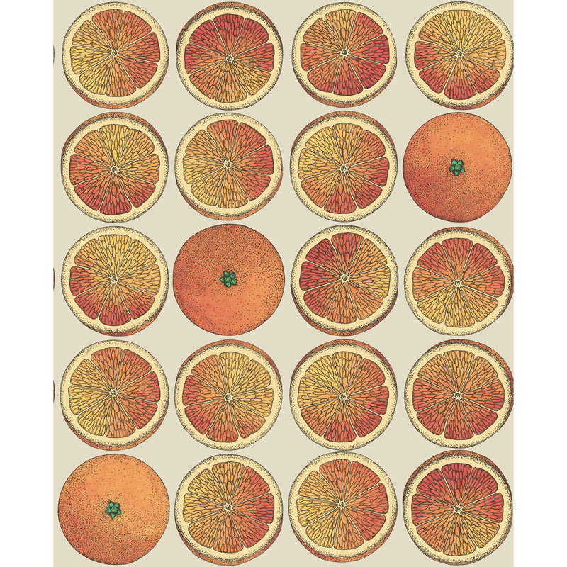 COLE & SON - ARANCE- ORANGE/CREAM - Wallcovering by the Roll ORANGE/CREAM