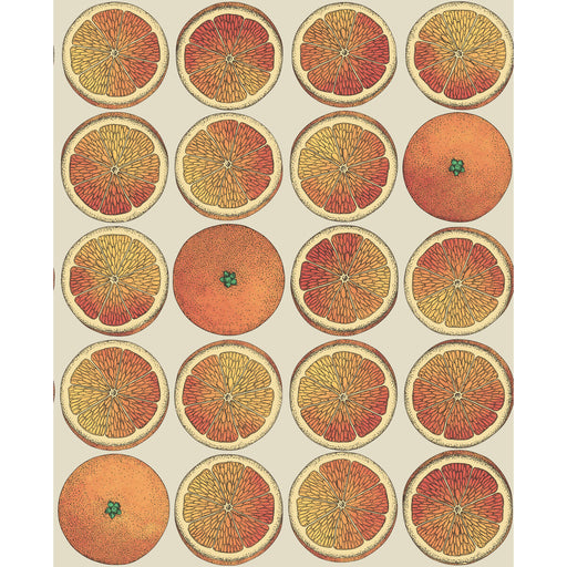 COLE & SON - ARANCE- ORANGE/CREAM - Wallcovering by the Roll ORANGE/CREAM