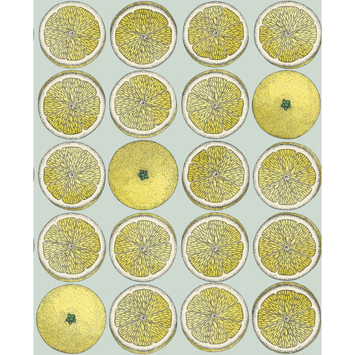 COLE & SON - ARANCE- LEMON/SEAFOAM - Wallcovering by the Roll LEMON/SEAFOAM