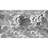 COLE & SON - NUVOLETTE- BLACK/WHITE - Wallcovering by the Piece