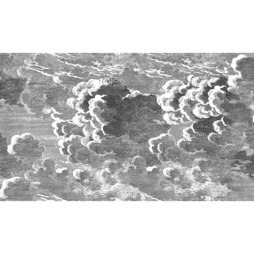 COLE & SON - NUVOLETTE- BLACK/WHITE - Wallcovering by the EACH BLACK/WHITE