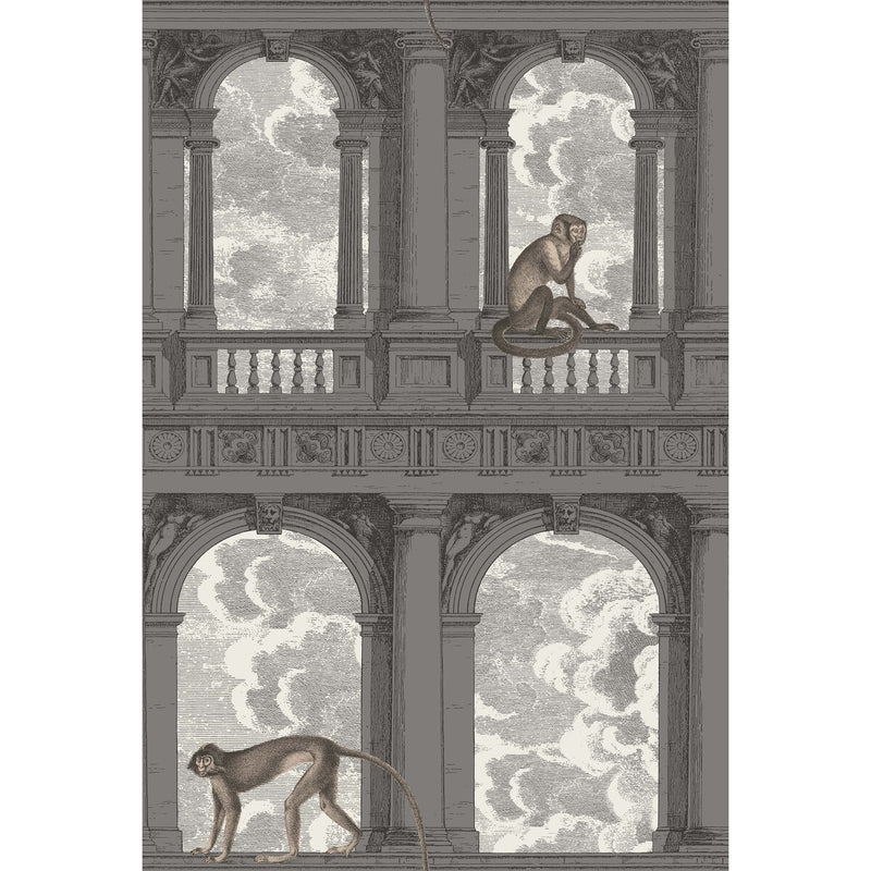 COLE & SON - PROCURATIE CON VISTA- SOOT & SNOW - Wallcovering by the Roll SOOT & SNOW