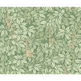 COLE & SON - CHIAVI SEGRETE- OLIVE - Wallcovering by the Roll