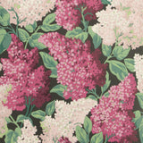 COLE & SON - LILAC- MAGENTA/BLUSH/CHARCO - Wallcovering by the Roll