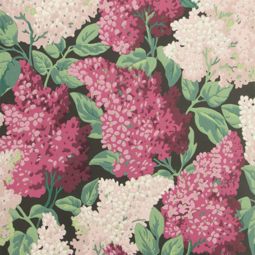 COLE & SON - LILAC- MAGENTA/BLUSH/CHARCO - Wallcovering by the Roll MAGENTA/BLUSH/CHARCO