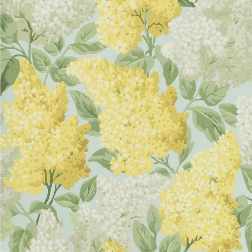 COLE & SON - LILAC- LEMON/OLIVE/PRM BLUE - Wallcovering by the Roll LEMON/OLIVE/PRM BLUE