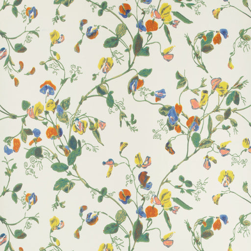 COLE & SON - SWEET PEA- AUTUMNAL MUL/CRM - Wallcovering by the Roll AUTUMNAL MUL/CRM