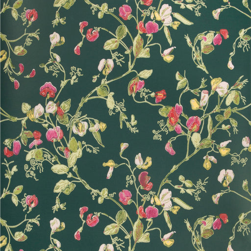 COLE & SON - SWEET PEA- CERISE/MAGEN/VRDN - Wallcovering by the Roll CERISE/MAGEN/VRDN