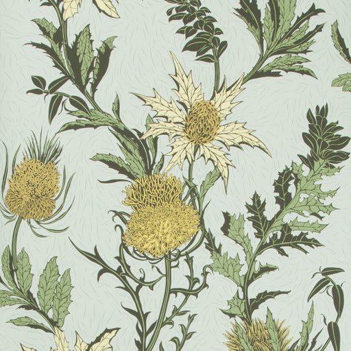 COLE & SON - THISTLE- LEMON/OLIVE/D EGG - Wallcovering by the Roll LEMON/OLIVE/D EGG