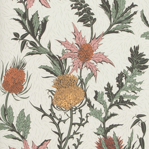 COLE & SON - THISTLE- A PINK/ORANGE/PARCH - Wallcovering by the Roll A PINK/ORANGE/PARCH