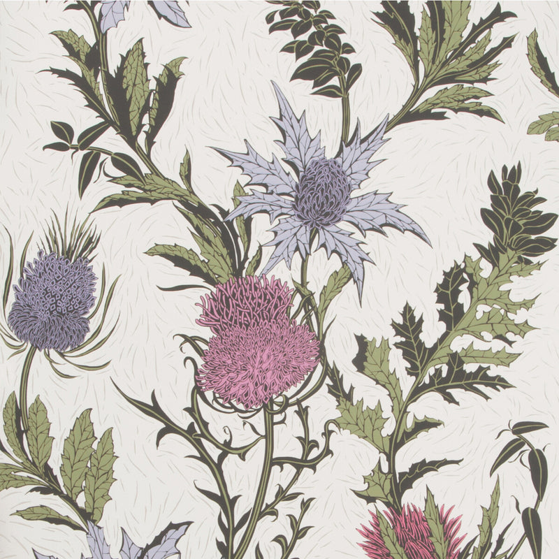 COLE & SON - THISTLE- LILAC/CERISE/WHITE - Wallcovering by the Roll LILAC/CERISE/WHITE