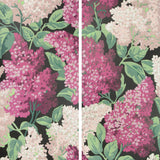 COLE & SON - LILAC GRANDIFLORA- M/B/C - Wallcovering by the Piece