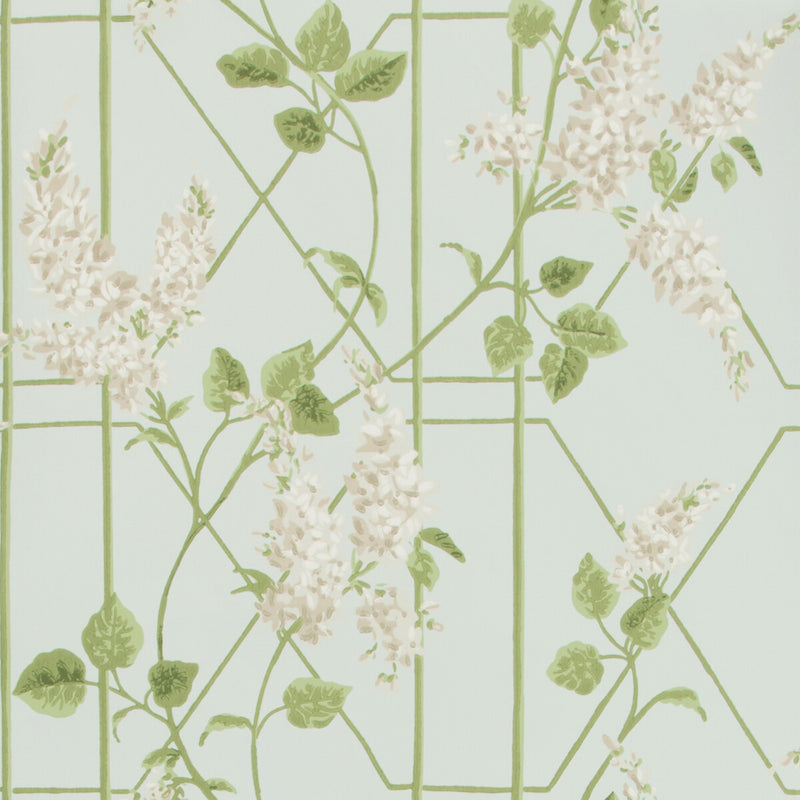 COLE & SON - WISTERIA- STONE/OLIVE/D EGG - Wallcovering by the Roll STONE/OLIVE/D EGG